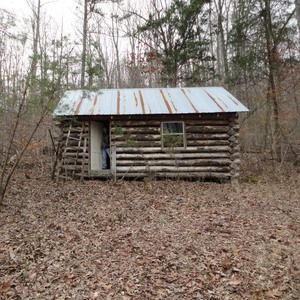 Meet your Posher, Joyce